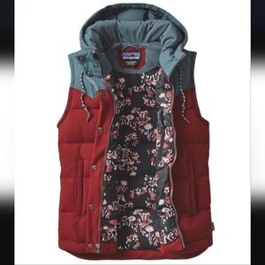 Rare Patagonia Bivy Vest Mushrooms